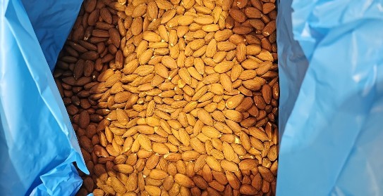 Buy Australian Almonds in Bulk | Premium Export Supplier – PATAZA